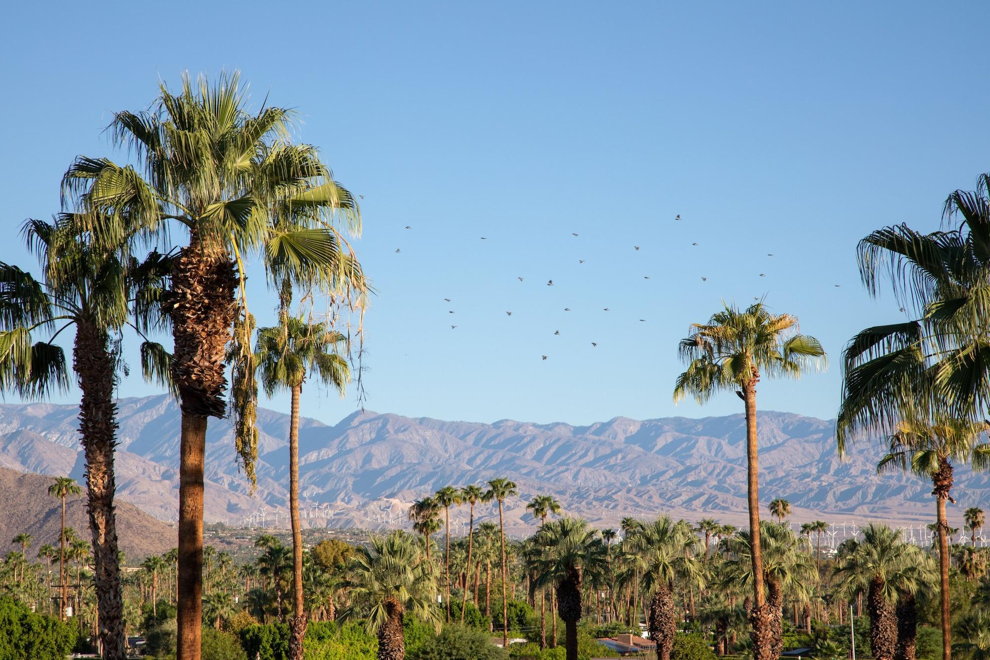 The Saguaro Palm Springs Hotel Bagian luar foto